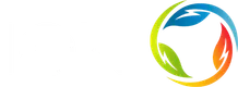 ION